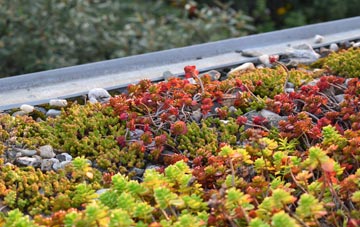the cost of Enterkinfoot green roof installation