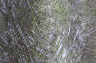 Enterkinfoot fibreglass roof work